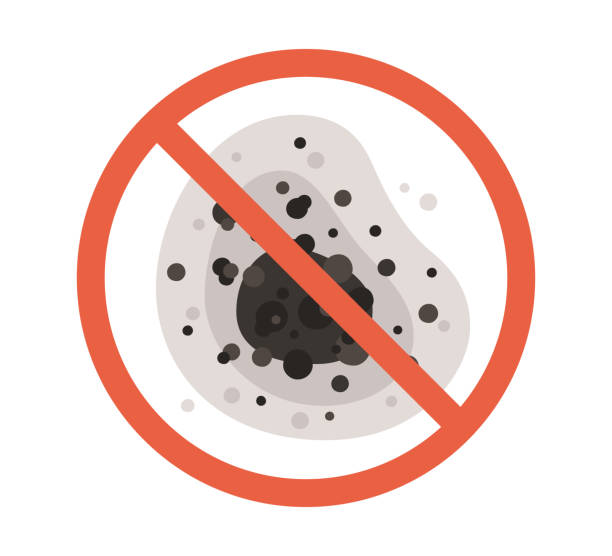 Best Mold Documentation for Insurance Claims  in Three Rivers, CA