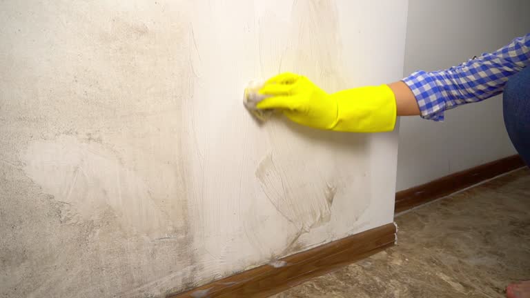 Best Post-Construction Mold Inspection  in Three Rivers, CA