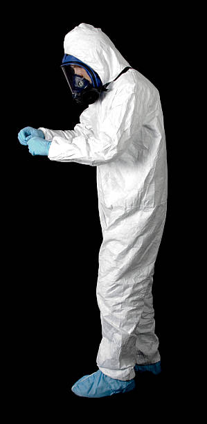 Best Mold Damage Restoration  in Three Rivers, CA